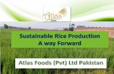 Pakistan - Eurofins Scientific...Atlas Foods (Pvt) Ltd Pakistan Basmati" derives from the Hindi word ब समत “Bas” mean Fragrance / Aroma “Mati” mean Soil “Basmati”