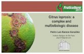 Citrus leprosis: a complex and multietiologic diseaseriacnet.net/wp-content/uploads/2017/10/Conf-Mag-La... · Citrus leprosis Cytoplasmic type 1967 2006 Diversity and variability