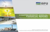 COMPREHENSIVE ANNUAL FINANCIAL REPORT · The combustion turbine plant, known as the Nearman CT4, functions as a peaking plant and was placed in service during February of 2006. The