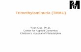 Trimethylaminuria (TMAU) - RareConnect...–analysis of their urine concentration of TMA relative to TMAO before and after choline ingestion –whole exome sequencing (WES) as well