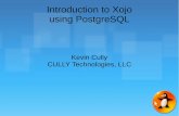 Introduction to Xojo using PostgreSQLfiles.meetup.com/18244671/Xojo_with_PostgreSQL.pdf · About Xojo Object-oriented programming language Strongly typed language Single inheritance