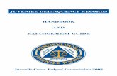 JUVENILE DELINQUENCY RECORDS HANDBOOK AND EXPUNGEMENT GUIDE · Juvenile Probation Records or Reports – include, but are not limited to, social summaries, psychological and psychiatric