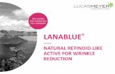 NATURAL RETINOID-LIKE ACTIVE FOR WRINKLE REDUCTIONA unique blue-green alga A unique micro-algae extract, from Cyanophyta class. This bacterium fixes the atmospheric nitrogen and helps
