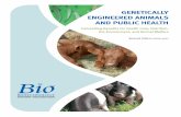 GENETICALLY ENGINEERED ANIMALS AND PUBLIC HEALTH · { GENETICALLY ENGINEERED ANIMALS AND PUBLIC HEALTH } 4. Genetic engineering offers tremendous benefit to the animal by enhancing