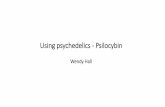 Using psychedelics ‐ Psilocybin · Psilocybin Produces a range of effects on cognition, emotions, perception and sense of self Mechanism of action believed to be mainly due to 5HT2A