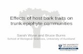Effects of host bark traits on trunk epiphyte communities€¦ · Effects of host bark traits on trunk epiphyte communities Sarah Wyse and Bruce Burns School of Biological Sciences,