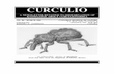 CURCULIO - The Coleopterists SocietyCURCULIO NO. 40 - MARCH 1996 6 Material can be borrowed on loan by contacting Angel Solis, Curator of Coleoptera, INBio, Apto. 22-3100, Santo Domingo