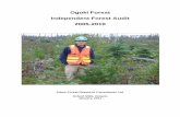 2010 IFA - Ogoki Forest · Ogoki Forest Independent Forest Audit i 1.0. Executive Summary This report presents the findings of an Independent Forest Audit (IFA) of the Ogoki Forest