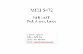 Psi BLAST, Perl: Arrays, Loops - University of Connecticut · Psi-Blast is for finding matches among divergent sequences (position-specific information) WARNING: For the nth iteration