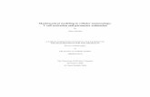 Mathematical modeling in cellular immunology: T cell ... · Mathematical modeling in cellular immunology: T cell activation and parameter estimation by Omer Dushek A THESIS SUBMITTED