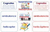 ambulance ambulancia · ambulance helicopter helicóptero Words in two languages that have the same origin and are similar or identical. Las palabras en dos idiomas