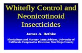 Whitefly Control and Neonicotinoid Insecticides · Whitefly Control and Neonicotinoid Insecticides. Presentation Outline • Taxonomy • Biology of the whitefly • Stages, Life
