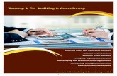Youssry & Co. Auditing & ConsultancyYoussry & Co. Auditing & Consultancy - 2018 Youssry & Co. Auditing & Consultancy External audit and assurance services External audit and assurance