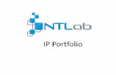 IP Portfolio - NTLabntlab.com/IP/portfolio/NTLab_IP_portfolio.pdf · 250iHP_IFA_03 – Intermediate frequency amplifier 250iHP_IFA_04 – 8 to 800 kHz intermediate-frequency amplifier