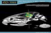 NIF Quarterly Q1, 2015 - Mark Wainwright · NIF Quarterly Q1, 2015 Exploring ... the NIF’s imaging capabilities, expertise, scientific leadership, image gallery, and much more!