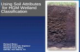 Using Soil Attributes for HGM Wetland Classification · 2017-09-21 · Epipedon Horizon • Non-Floodplain ... Tool for Wetland Definition Using Soils and Hydrology - Needs • Simple