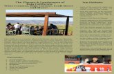 The Flavors & Landscapes of Trip Highlights Baja California Wine …tiastephanietours.com/PDF/baja-california.pdf · 2019-03-13 · Baja California is a singular physical landscape,