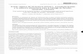 Primer registro de Utricularia foliosa L ...matematicas.udea.edu.co/~actubiol/actualidades... · Críales-Hernández y Jerez-Guerrero Actual Biol 38 (104): 45-51, 2016 | DOI: 10.17533/udea.acbi.v38n104a05