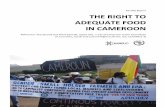 Parallel Report THE RIGHT TO ADEQUATE FOOD IN CAMEROON · 2. THE SITUATION OF THE RIGHT TO ADEQUATE FOOD IN CAMEROON 14 2.1. Food and nutritional situations of the most vulnerable