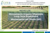 MOVE LTE Monsampolo Organic VEgetable Long Term …sito.entecra.it/portale/public/documenti/move_lte.pdf · MOVE LTE Analisi SWOT Le debolezze (Weaknesses): 1. Onerosità finanziaria