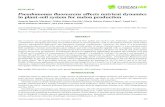 Pseudomonas fluorescens affects nutrient dynamics in plant ... · atomic absorption technique (PerkinElmer-AAnalyst 800, Waltham, Massachusetts, USA). Total plant P in the samples