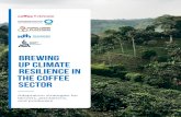 BREWING UP CLIMATE RESILIENCE IN THE COFFEE SECTOR · BREWING UP CLIMATE RESILIENCE IN THE COFFEE SECTOR 11 Arabica / Robusta 2.1 M ha under coffee 1.6 7 tonnes/ha per year 300,000