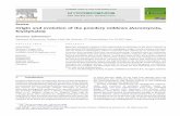 Origin and evolution of the powdery mildews …...Review Origin and evolution of the powdery mildews (Ascomycota, Erysiphales) Susumu Takamatsu* Department of Bioresources, Graduate