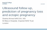 23.02.2019 Ultrasound follow up, prediction of pregnancy ......(‘bagel sign’) 20% Extrauterine gestation sac +/- yolk sac +/- fetal pole +/- fetal cardiac activity ... Sliding