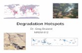 Degradation HotspotsDegradation Hotspots · Biodiversity HotspotsBiodiversity Hotspots (Myers 2000)(Myers 2000) • Contain remainingg,()p habitat of 133,149 (44%) plant species &