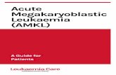 Acute Megakaryoblastic Leukaemia (AMKL) · 2 Being diagnosed with Acute megakaryoblastic leukaemia (AMKL) can be a shock, particularly when you have never heard of it. If you have