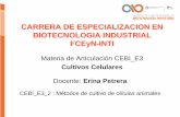 CARRERA DE ESPECIALIZACION EN BIOTECNOLOGIA …biotecnologiaindustrial.fcen.uba.ar/wp-content/...Propagación de la línea celular ii. Producción de células para la experimentación