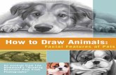 How to Draw Animals - Aprende, Practica y Dibuja Fácil · How to Draw Animals: Facial Features of Pets An excerpt from Lee Hammond’s “Drawing Realistic Pets From Photographs”