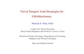 Novel Targets And Strategies in Glioblastomas€¦ · Novel Targets And Strategies in Glioblastomas Patrick Y. Wen, M.D. Center For Neuro-Oncology Dana Farber/Brigham and Women’s
