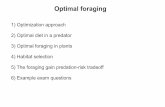 05 opt foraging - | Department of Zoology at UBCbio418/05 opt foraging.pdf · - Cost of foraging is time, which is spent searching and handling 2) Optimal diet in a predator. Simple