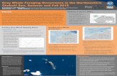 Gray Whale Foraging Occurrence in the Northeastern Chukchi Sea…€¦ · Foraging gray whales (Eschrich’us robustus) were documented in the northeastern Chukchi Sea in summer and