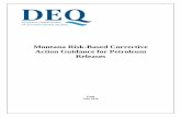 Montana Risk-Based Corrective Action Guidance for ... · Petroleum or petroleum product - Crude oil or any fraction of crude oil that is liquid at standard conditions of temperature