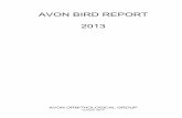 AVON BIRD REPORT 2013 - Bristol Ornithological Clubbristolornithologicalclub.co.uk/wp-content/uploads/... · A Fregetta storm-petrel at Severn Beach J.P. Martin 155 ... remarkable