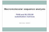 pam blosum 01 - unimi.ithomes.di.unimi.it/trucco/Bioinformatics/pam_blosum.pdf · Derivation)of)the)PAM)matrices Relative(amino(acid(mutability(values(mj forourexample Amino)acid