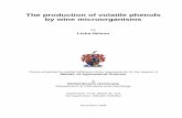 The production of volatile phenols by wine microorganisms · The production of volatile phenols by wine microorganisms . by . Lisha Nelson . Thesis presented in partial fulfilment