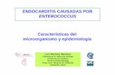 3º Enterococcus Endocarditis Microbiology Madrid 2012 vers 1€¦ · E. faecalis causante de epidemias: CC2, CC9, CC87, CC21. CC2 (ST6) E. faecalis en cerdos y lactantes sanos ST16