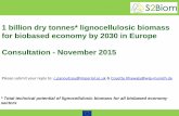 1 billion dry tonnes* lignocellulosic biomass for biobased ... · lignocellulosic biomass to supply the biobased economy by 2030. This data will feed into the development of a 2030