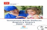 Tennessee Birth Defects Registry R2009-2013€¦ · 4 chromosomal defects, were more common among babies who were born to mothers aged 35 years old and greater. Nationally, nearly