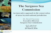 The Sargasso Sea Commission - IUCN · Sargasso Sea Commission Stewardship Role. Meets virtually. Volunteers acting in personal capacity Sargasso Sea Secretariat Small Permanent Body