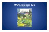 Wide Sargasso Sea - San Jose State University...Wide Sargasso Sea.pptx Author Katherine Harris Created Date 11/16/2010 12:01:01 AM ...