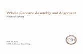 AdvSeq.Whole Genome Assembly and Alignmentschatzlab.cshl.edu/teaching/2013/AdvSeq.Whole Genome Assembly … · Milestones in Genome Assembly 2000. Myers et al. 1st Large WGS Assembly.