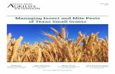 Managing Insect and Mite Pests of Texas Small Grains · hosts to insect pests of small grains. Managing Insect and Mite Pests of Texas Small Grains Figure 1. Insects for which wheat