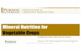 Mineral Nutrition for Vegetable Crops - Purdue Agriculture · Mineral Nutrition for Vegetable Crops Liz Maynard, Dept. of Hort and LA, Purdue January 5, ... Tomato, fresh market Sweet