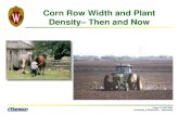 Corn Row Width and Plant Density– Then and Nowcorn.agronomy.wisc.edu/Extension/PowerPoints/2003_WFAPMC_RS.pdf · Previous Corn Research on Row Spacing < 30-inches • Recent resurgence