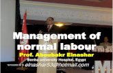 MANAGEMENT OF LABOUR and Management of normal labour Prof. Aboubakr Elnashar Benha university Hospital,