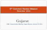 5th Common Review Mission - nhm.gov.innhm.gov.in/images/pdf/monitoring/crm/5th-crm/presentation/gujarat.pdf · NABH/NABL – no facilities taken up for accreditation in Dahod ...